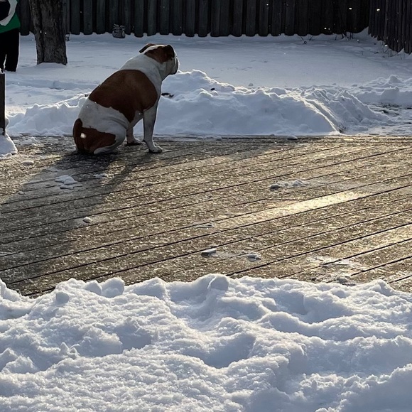 Meet your Posher, A - Picture 1 of 1